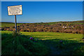 Great Torrington : Torrington Common