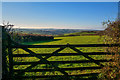 Great Torrington : Grassy Field & Gate