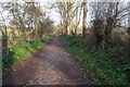 Royal Military Canal Path towards Green Lane, Hythe