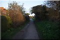 Royal Military Canal Path towards Seabrook Road