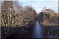 River Nethy at Nethy Bridge