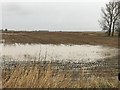 TF2708 : Flooded farmland near Falls Farm, French Drove, Thorney by Richard Humphrey