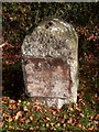 Old Milestone by the A483, north of Chippenham