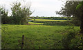 ST4431 : Fields near Henley by Derek Harper
