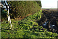 Footpath near Hawthorn Farm