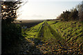 The Hereward Way near Hawthorn Farm