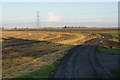 Drove on Middle Fen Bank