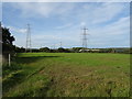 Grazing and power lines