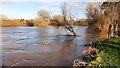SO5924 : River Wye in flood by Jonathan Billinger