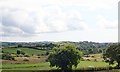 Drumlins South of Hare