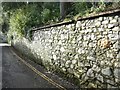 Stone wall by Larkbeare Road, Exeter