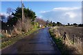 Lower Wall Road towards Botolph