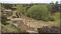 Disused quarry near Thurlstone