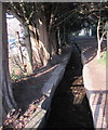 Stream on the north side of Park Road, Abergavenny