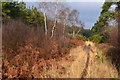 Path beside the A338