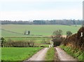 Track to Gascoigne Farm