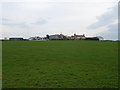 Grazing towards Swordwellrigg