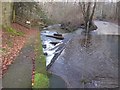 Fish pass on the Stocksfield Burn