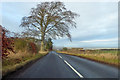 B6352 towards Kelso