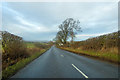 B6352 towards Kelso