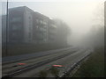 Paxton Drive flats in the fog