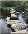 Stepping Stones at Laughter Hole