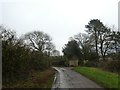 Trees near Hart Grove Farm