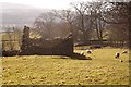 Derelict field barn at Scrogs Lane