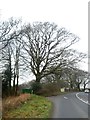 B3261 near Fawnsmoor