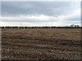 Stubble field near Rigfoot