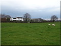 Grazing towards Sandbed Farm