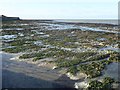 Grenham Bay at low tide