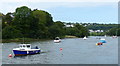 Boats moored on the Afon Teifi, Cardigan