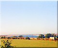 Horse paddock, with Abberton reservoir in distance