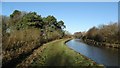 Trent & Mersey Canal, Sandbach, N of Elton Moss Bridge