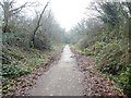 Former railway line, now NCN33, the Stop Line Way