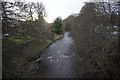 Slitrig Water, Hawick