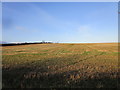 Stubble field near Longland Farm