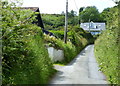 Houses along the lane at Poppit