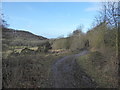 SJ6508 : On the path through Limekiln Wood by Jeremy Bolwell