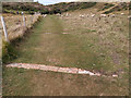 SY9876 : Walls / foundations of building across path at Seacombe Bottom, Worth Matravers by Phil Champion