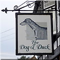 Sign for the Dog and Duck, Walkington 