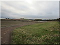 Farm track off Mansfield Road