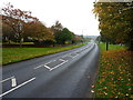 Jennyfield Drive, looking west