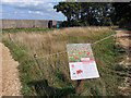 SZ0382 : Willdfower memorial meadow at Fort Henry, above Studland Bay by Phil Champion
