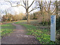 Watermeads Nature Reserve, near Mitcham