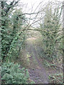 Disused railway near the former Little Weighton railway station