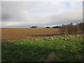 Prepared field and Goldhill Farm