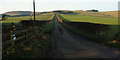 NU0315 : Lane to Fawdon by Derek Harper