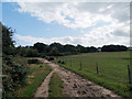 A bridleway near Godlingston Heath